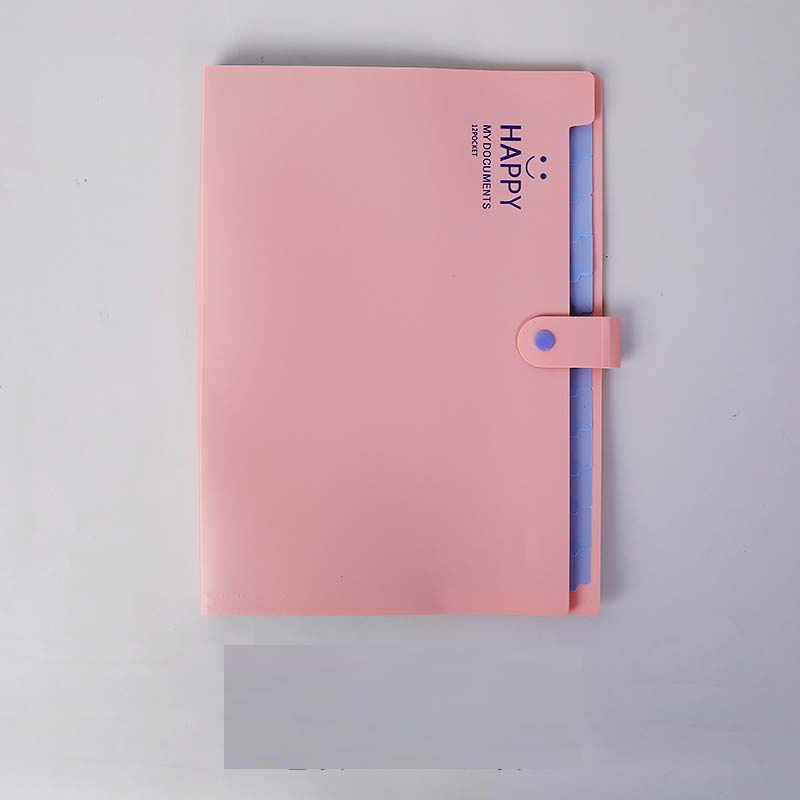 Túi Giấy Đựng Tài Liệu 12 Ngăn Tiện Lợi Chất Lượng