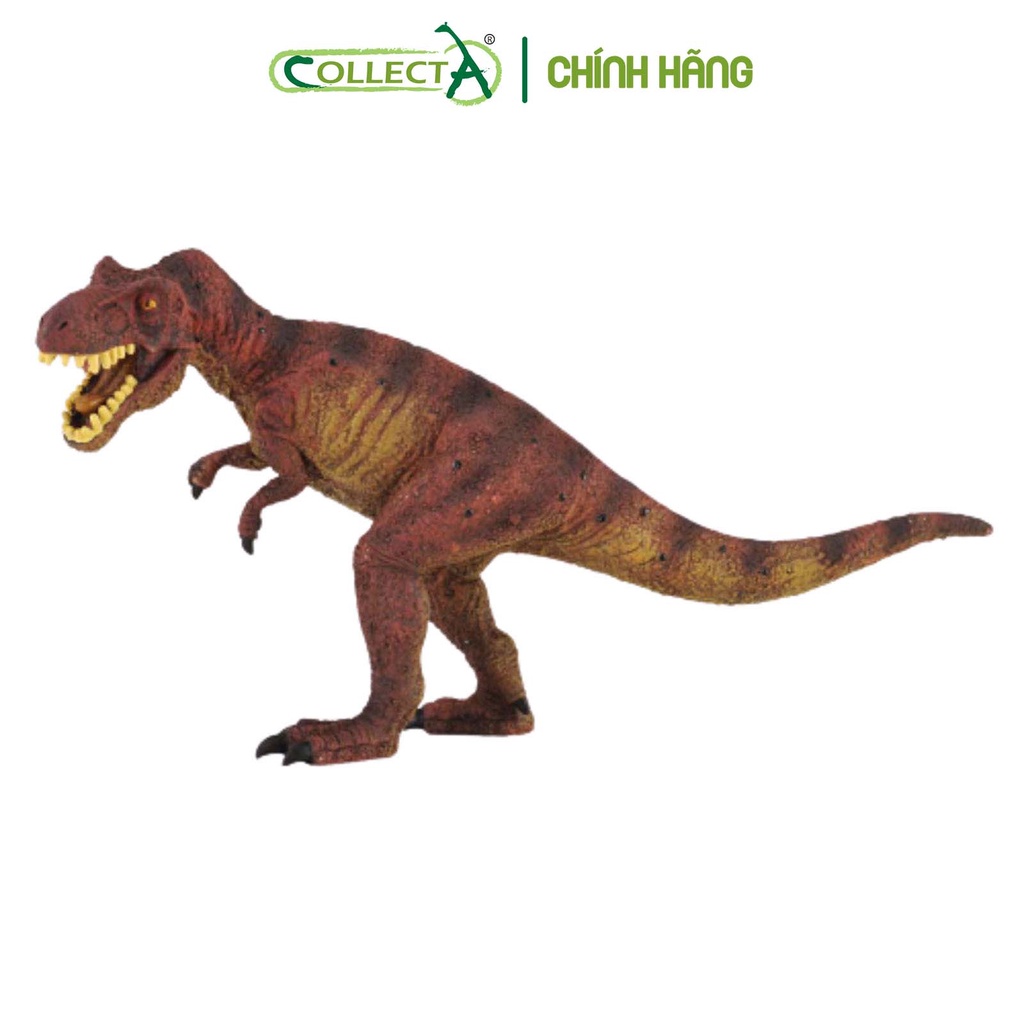 Đồ chơi mô hình động vật CollectA Khủng Long Tyrannosaurus Rex - Tyrannosaurus Rex