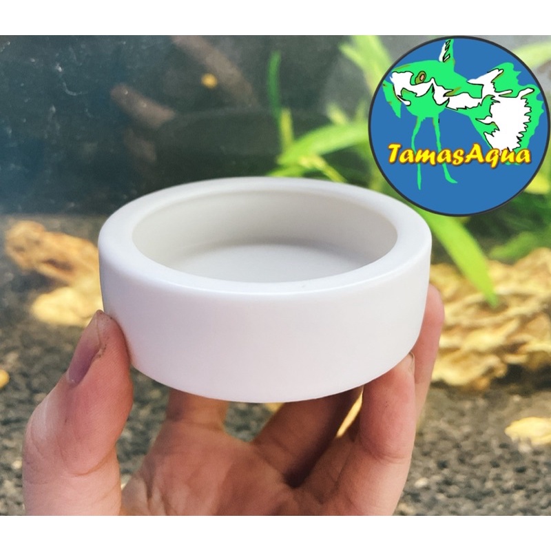 Chén ăn, bát ăn sứ trắng cho hồ cá, hồ tép và bò sát betta guppy