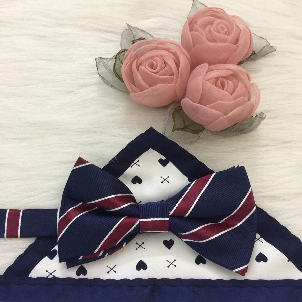 Nơ đeo cổ nam nơ chú rể