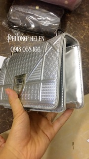 Túi Dior bạc size 22 