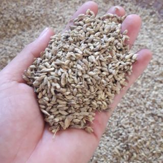 1kg Trà hoa hòe vụ chiêm