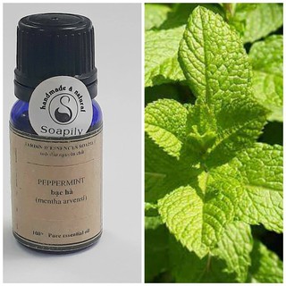 Tinh dầu Bạc hà - Peppermint
