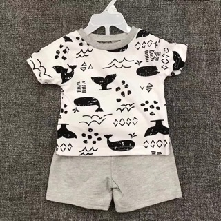 Set 2 bộ chick pea