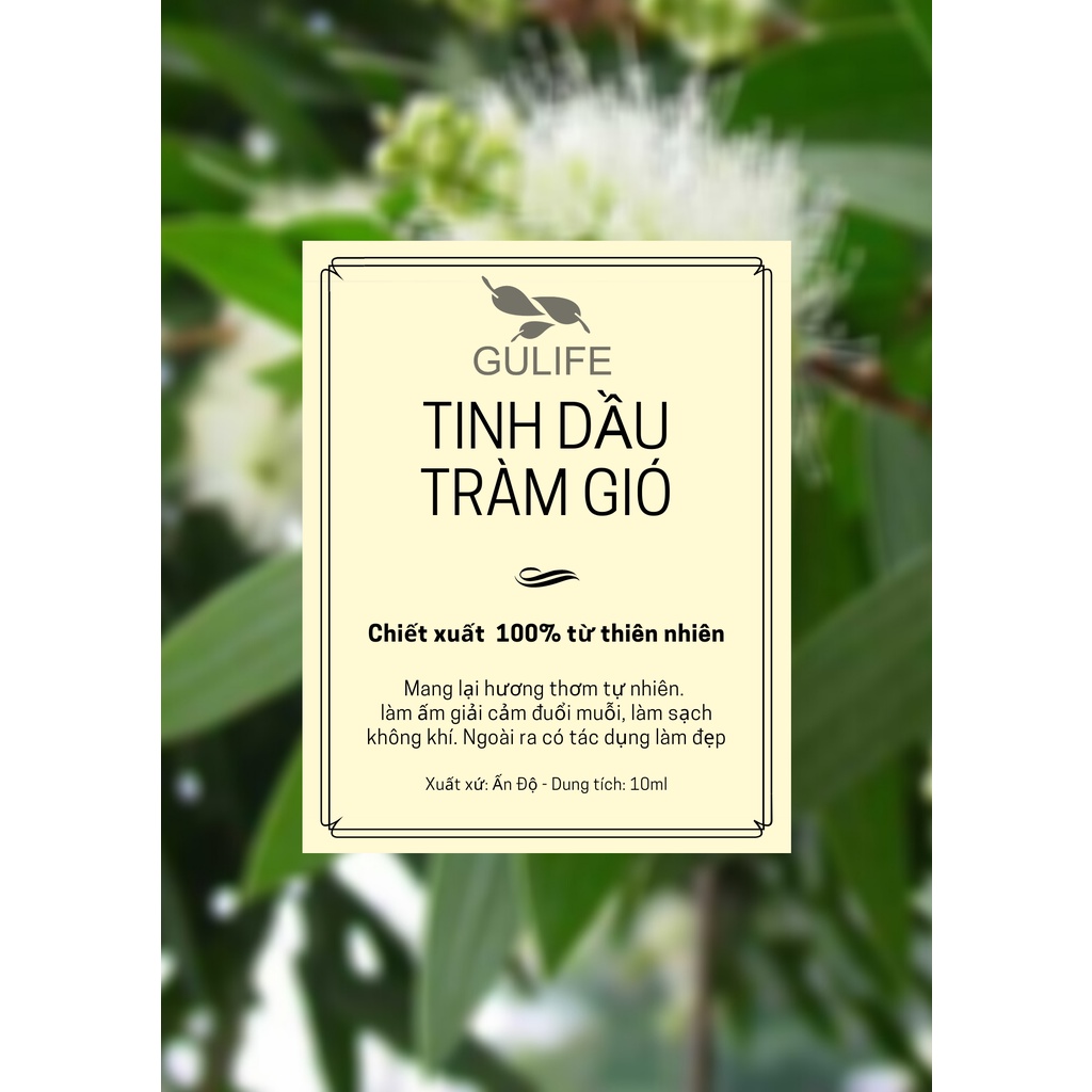 Tinh Dầu Tràm Gió Chiết Xuất Từ Thiên Nhiên GULIFE - Giảm Căng Thằng, Thơm Phòng &amp; Thư Giãn