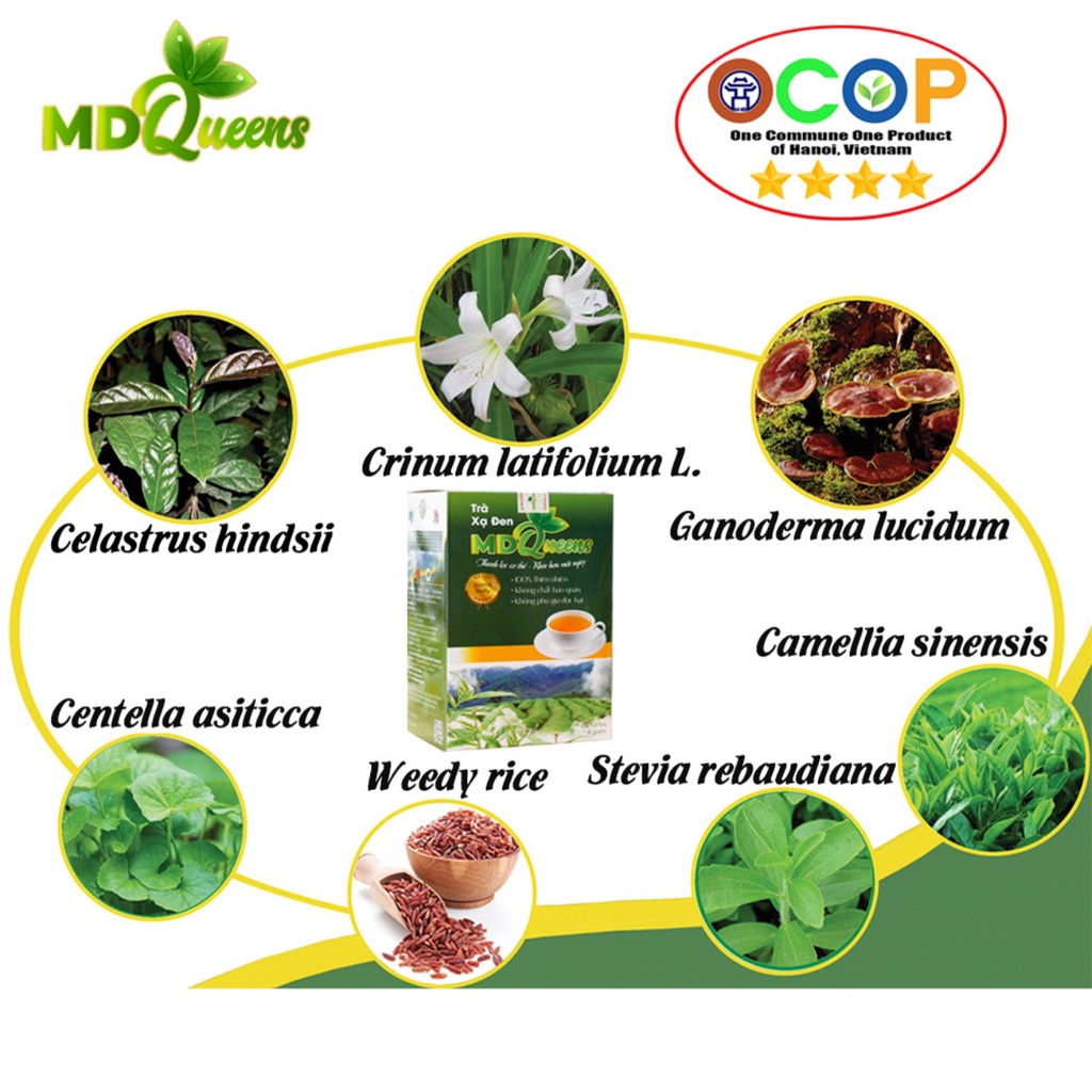 Trà xạ đen túi lọc MD Queens ổn định huyết áp ,hạ mỡ máu, men gan ,7 loại thảo dược tự nhiên.Cam kết chính hãng