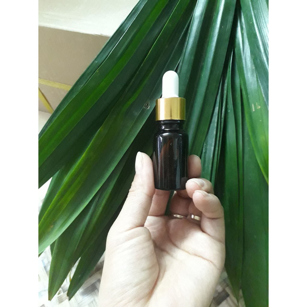 Mua tinh dầu treo xe hương Lá Nếp Tặng 01 Lọ tinh dầu dự phòng 10ml hương Lá Nếp