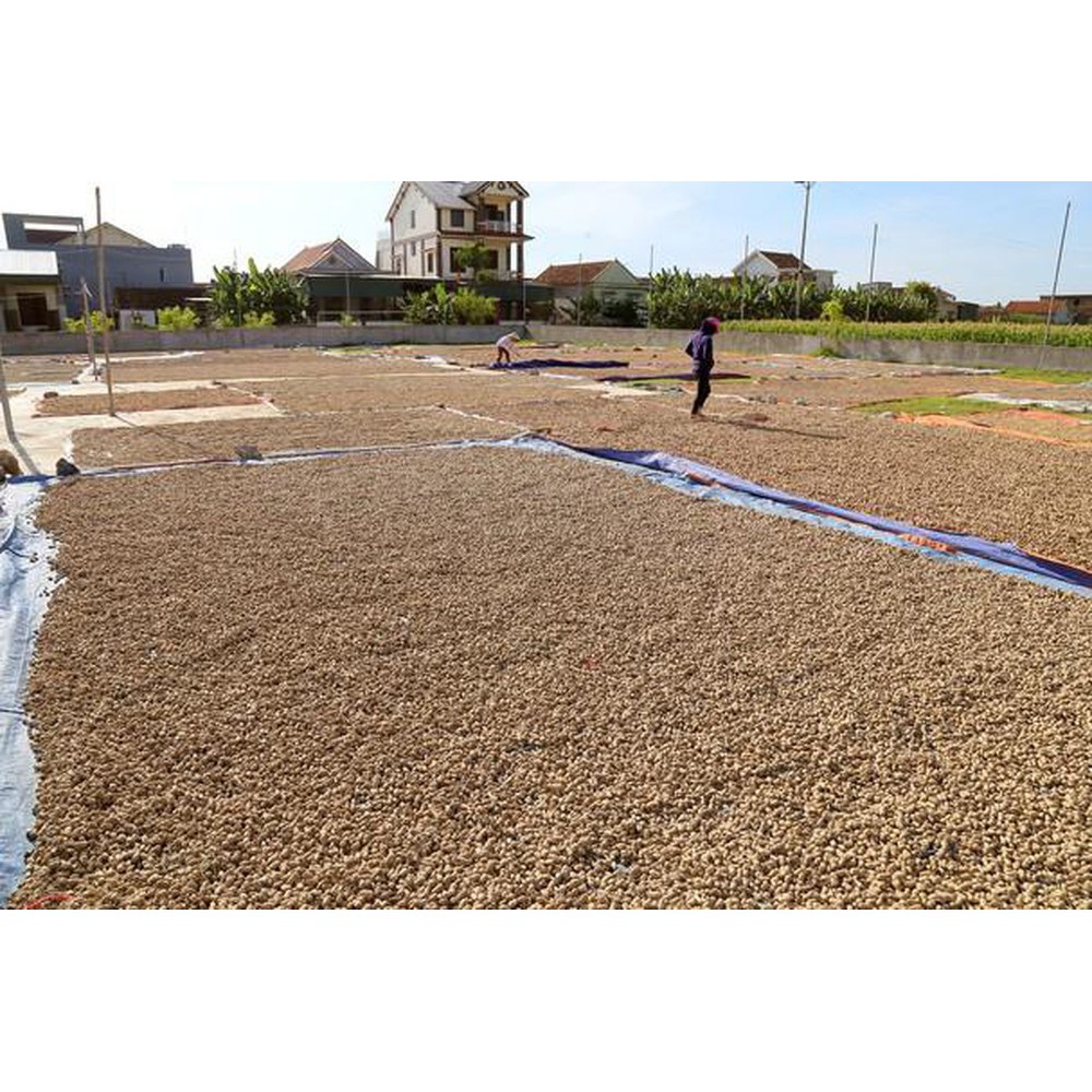 Dầu lạc/ Dầu đậu phộng nhà làm nguyên chất 100%, không chất bảo quản.