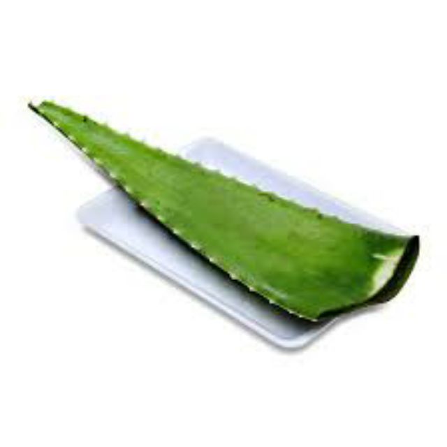 Lá lô hội  thành phẩm