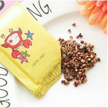 Túi thơm mini 12 cung hoàng đạo chống mốc để tủ quần áo, giày dép 88060