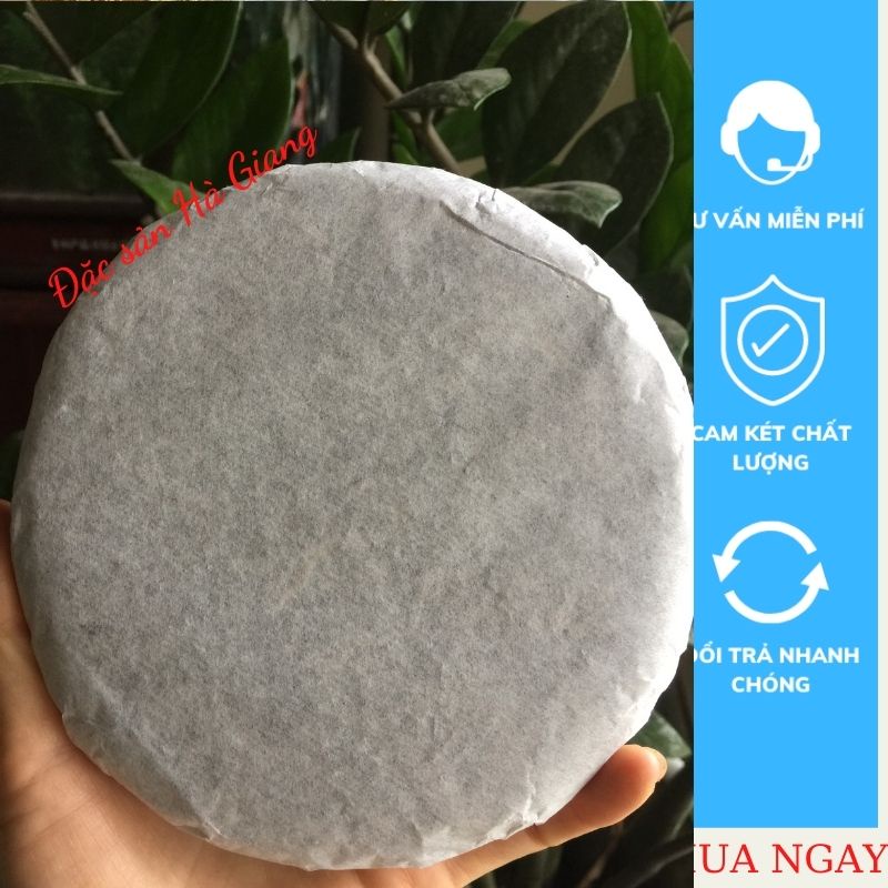 Trà phổ nhĩ sống Đặc sản Hà Giang vị ngon đậm đà, hương thơm