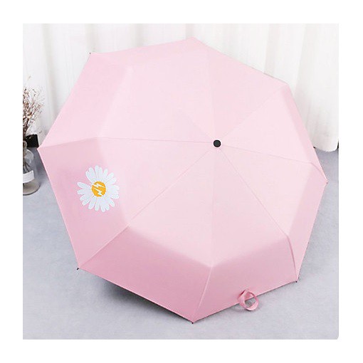 DÙ ĐI MƯA HÌNH HOA CÚC - 1 CHIỀU