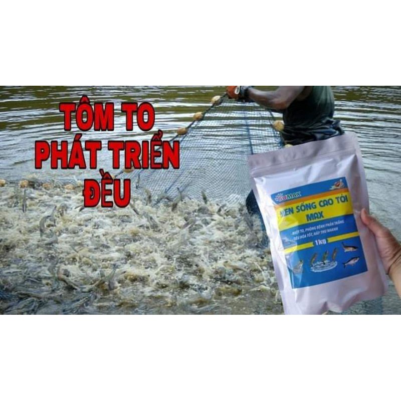 MEN SỐNG CAO TỎI THỦY SẢN