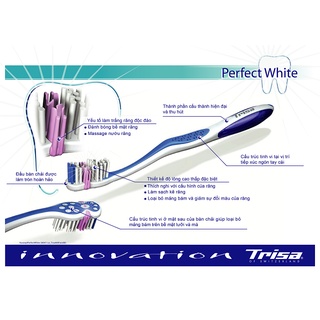 Bàn Chải Đánh Răng Trisa Perfect White Duo ( Vĩ 2 Cây )