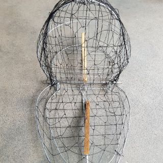 Lồng bẫy cu gáy