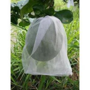 50 Túi bọc bưởi vải lưới mùng kích thước 30*35 số lượng BỌC BƯỞI TÚI chất lượng cao