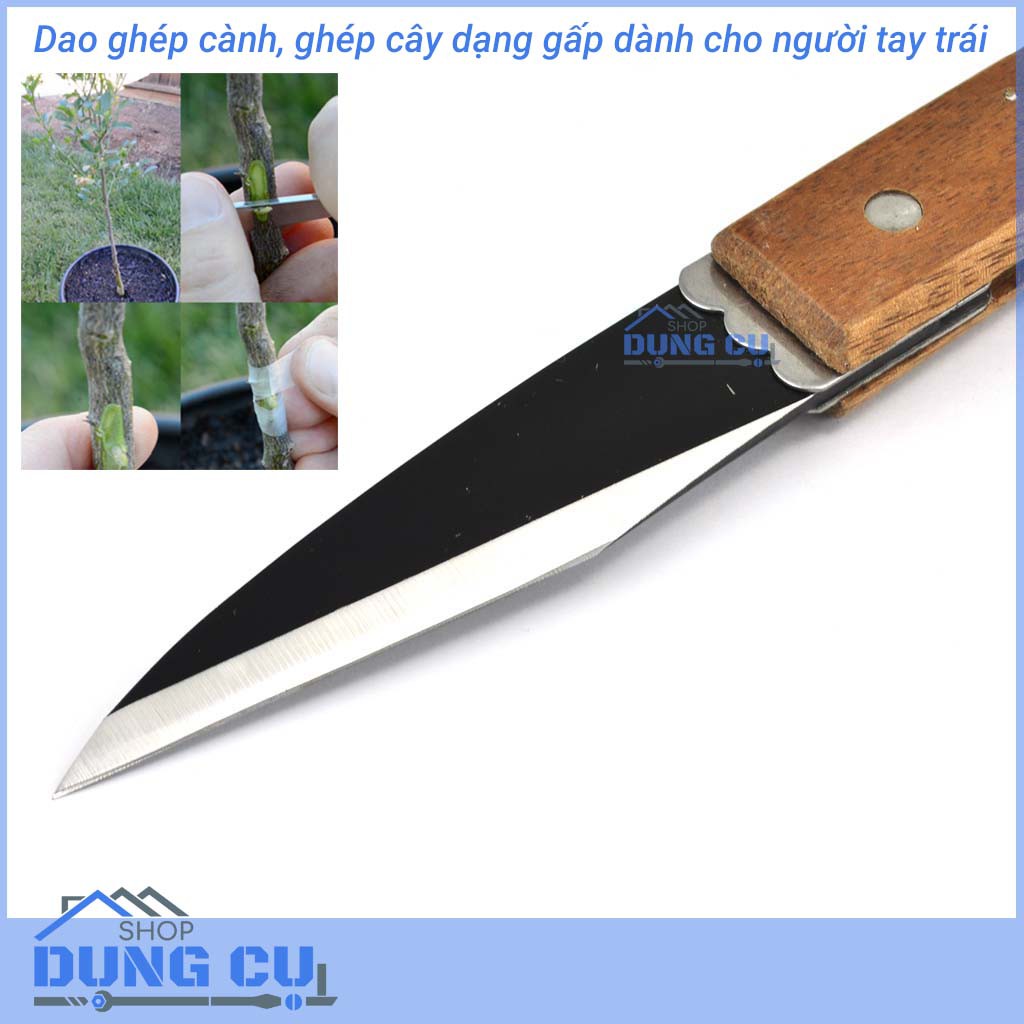 Dao ghép cây ghép cành dành cho người thuận tay trái