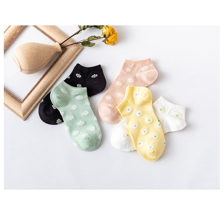 Tất NữCotton Cúc Họa Mi Thời Trang Hàn Quốc ( TN : 181 ) Hàng Loại Đẹp.