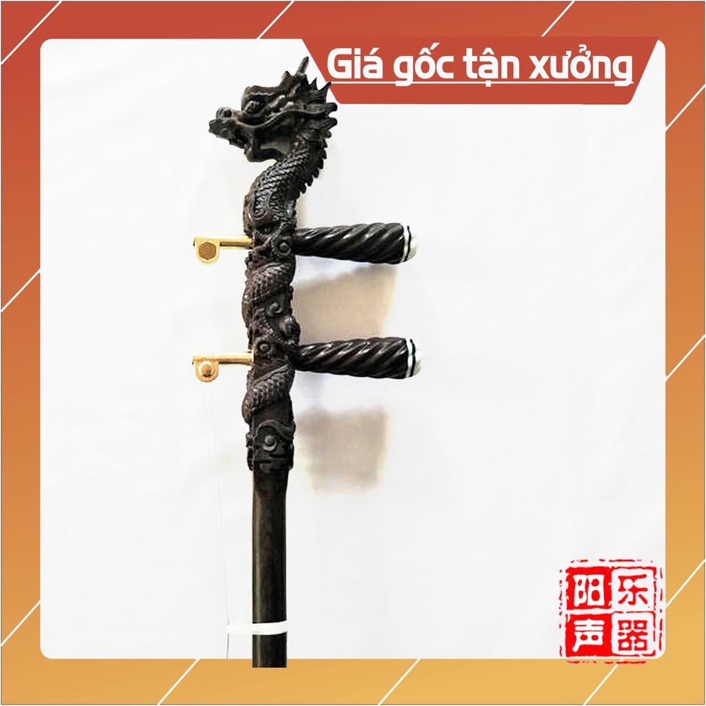 ĐÀN NHỊ ĐẦU RỒNG