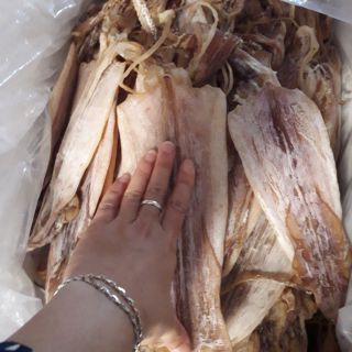 1kg mực khô loại ngon, khoảng 15con