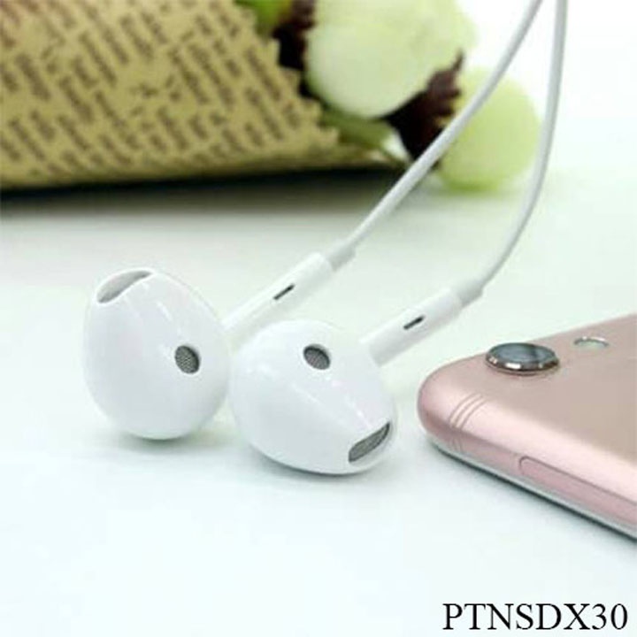 Tai Nghe Nhét Tai Chân Type C (Chính Hãng SENDEM) X30