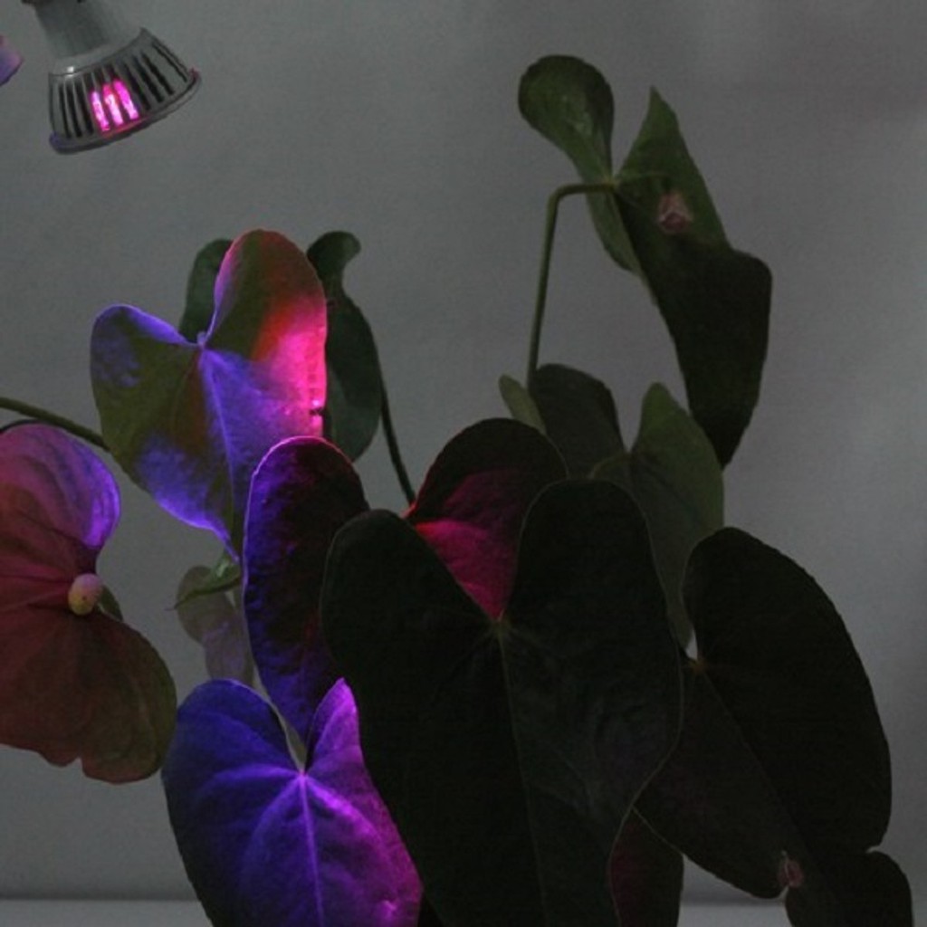 Bóng đèn Led quang hợp GIVASOLAR-ZW0001 6W