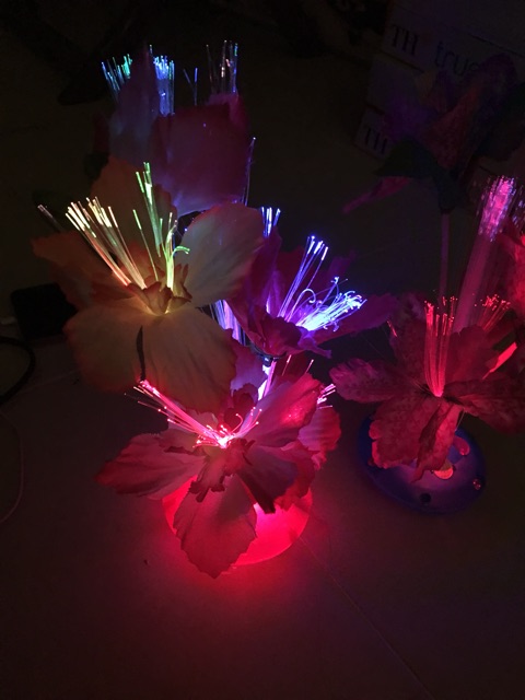 Chậu hoa led phát sáng đổi màu siêu đẹp