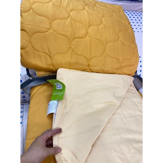 Bộ Drap chun chần EVERON MDSC100