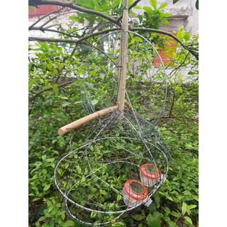 Lồng bẫy chim chào mào