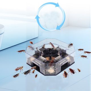 Dụng cụ bẫy bắt gián thông minh