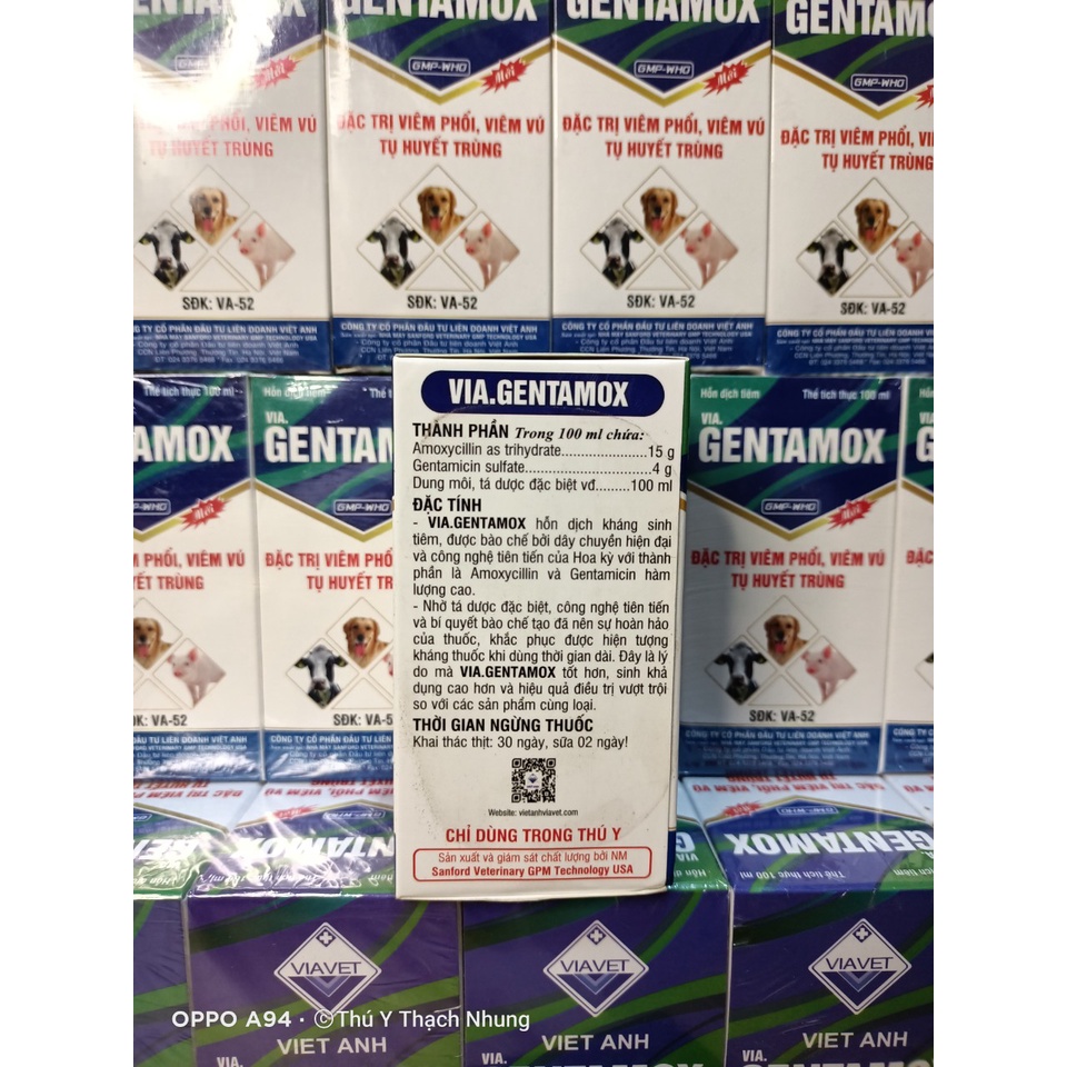 Dùng cho động vật GENTAMOX  Viavet. an toàn cho động vật bầu và nuôi con.