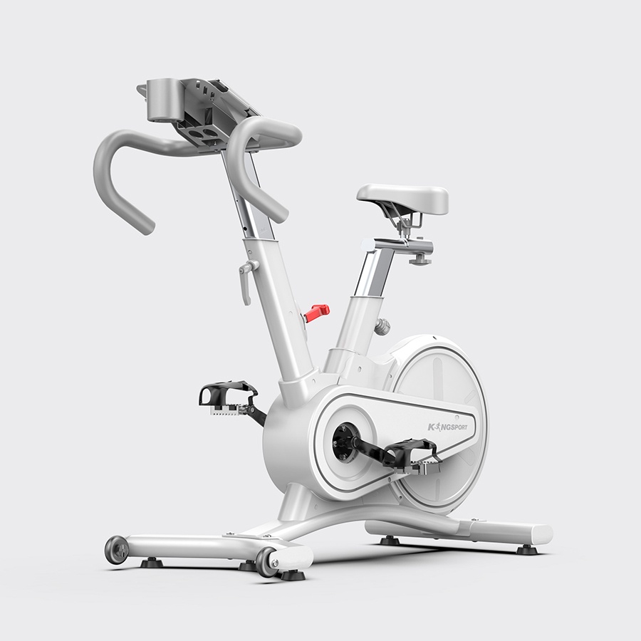 Xe đạp tập thể dục tại nhà Kingsport BK-5814 tải trọng tối đa 120kg, truyền động curoa cho bước đạp nhẹ nhàng