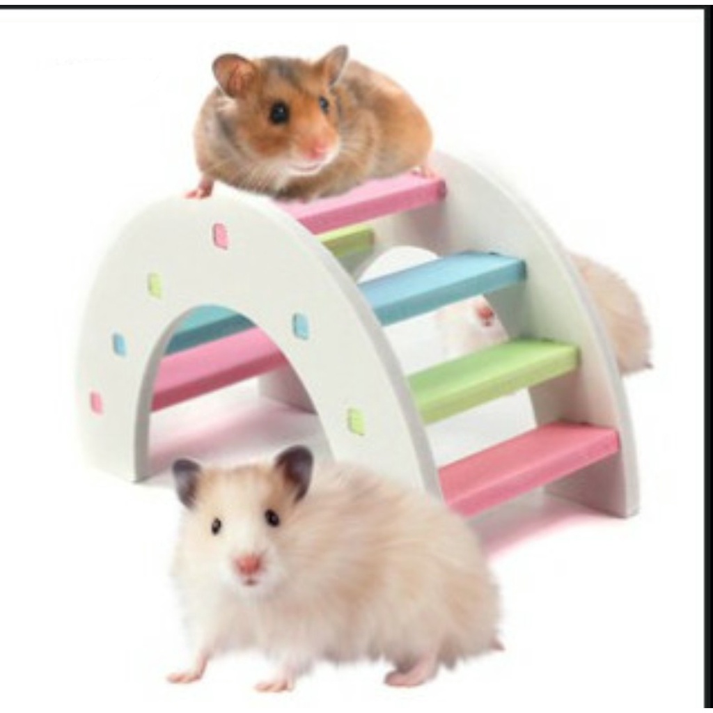 [HCM]  Đồ chơi cây cầu bán nguyệt dành cho Hamster