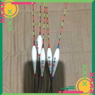 Combo 5 phao câu đài