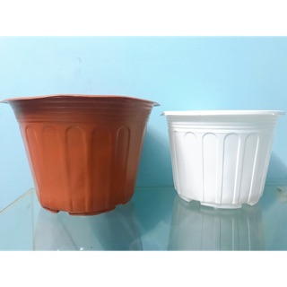 Chậu nhựa mềm trồng cây