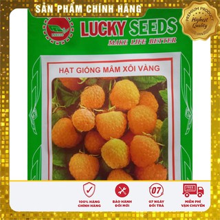 Hạt Giống Mâm Xôi Vàng(10 hạt)