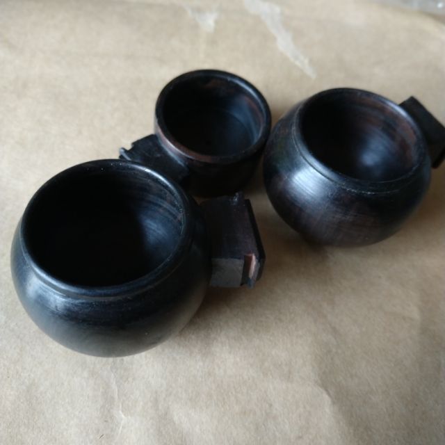 Cóng ăn gỗ mun
