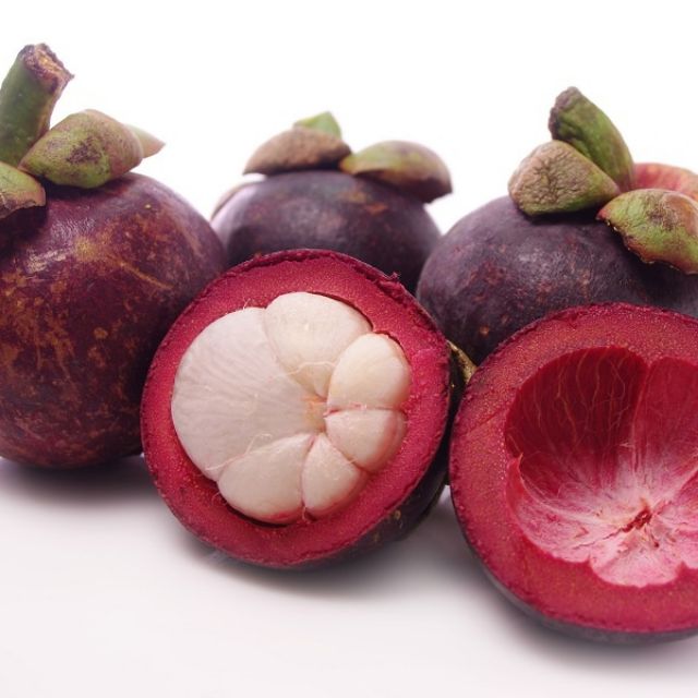 Cây măng cụt