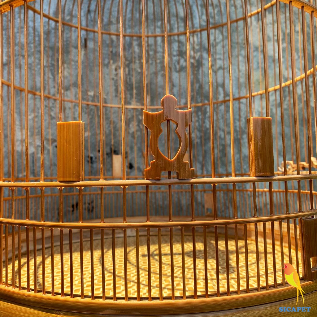 Lồng Chòe Than - Chòe Lửa , Lồng chim Chích Chòe đẹp SICAPET