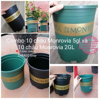 Combo 10 chậu trồng cây Monrovia 5 Gallon và 10 chậu trồng cây 2 Gallon