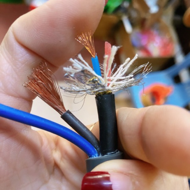 Dây tín hiệu audio kèm dây điện