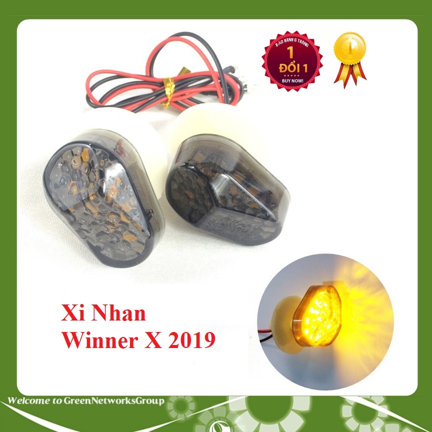 Xi nhan trước Winner X kiểu con bọ Greennetworks