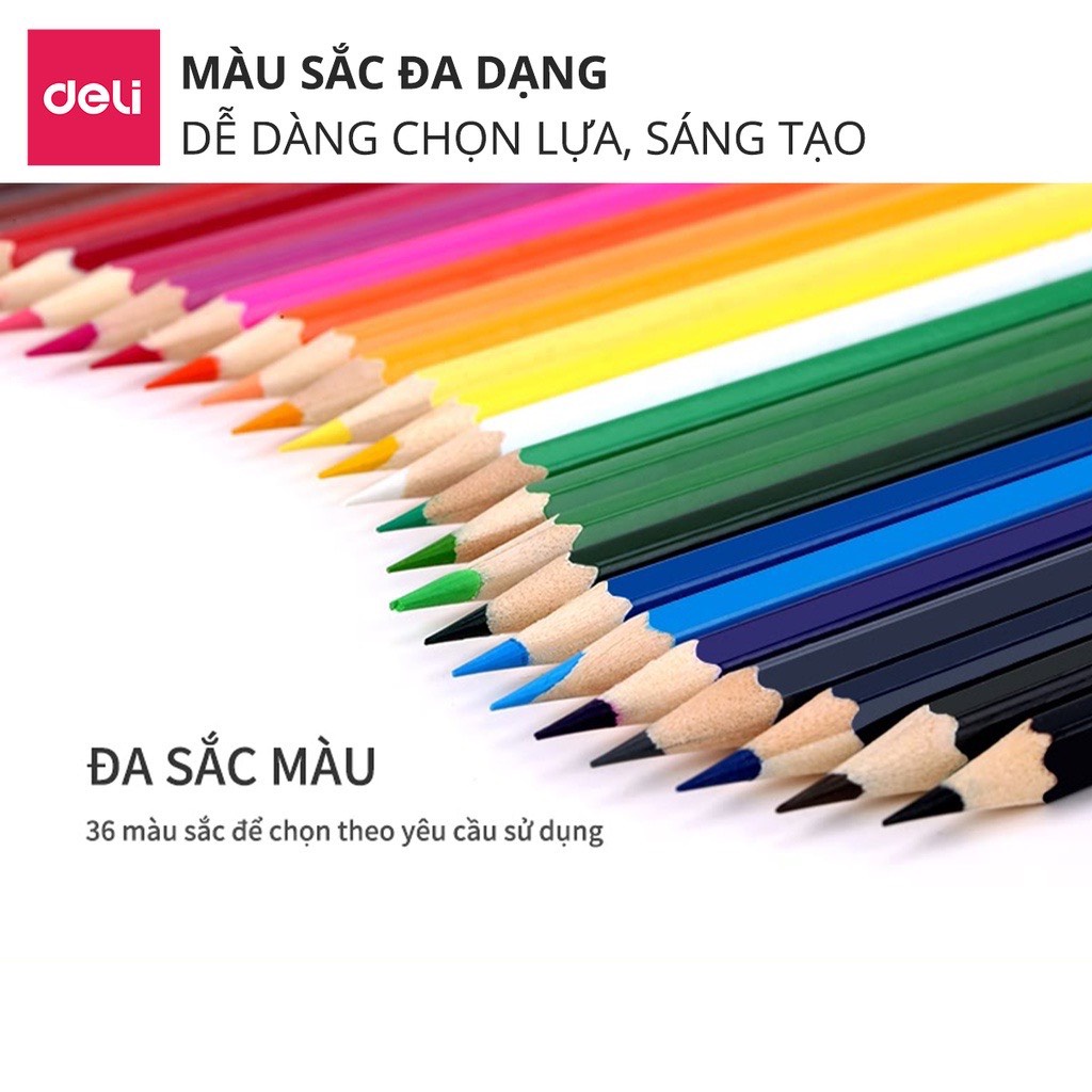 Bút chì màu dạng cốc học sinh Deli - 18/24/ 36 màu - 7013/7014/7015