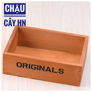 🔥Chậu gỗ Original trồng cây tiểu cảnh
