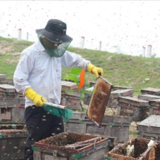 [HADMADE] 1 lít mật ong hoa nhãn nguyên chất