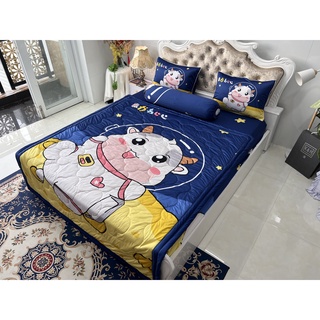 Bộ drap thun lạnh ý 5D cao cấp