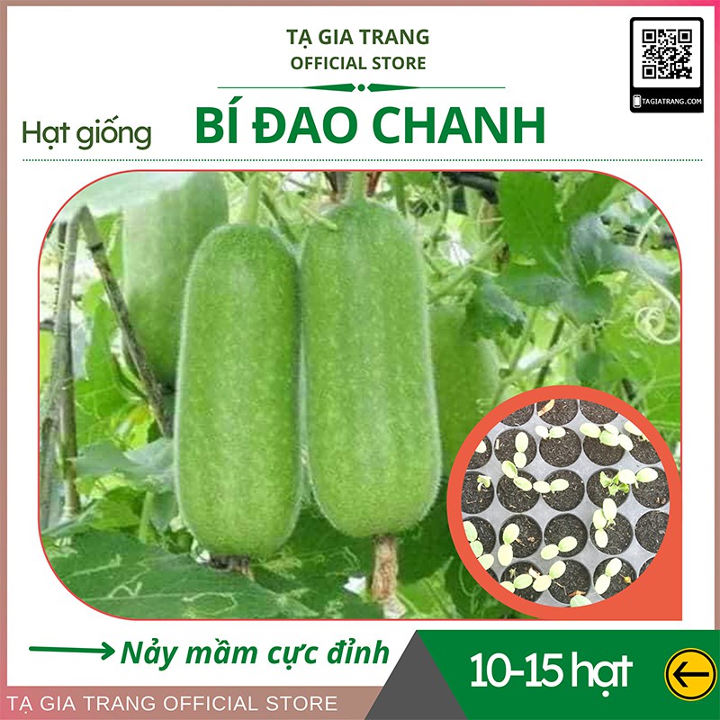 Hạt giống bí đao chanh (bí đao thanh trúc) - Gói 10h