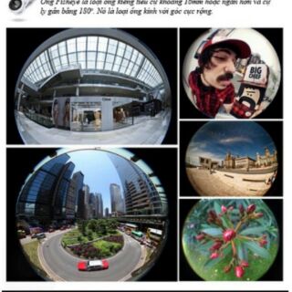 Lens 3 in 1 CHỤP HÌNH thật thú vị !