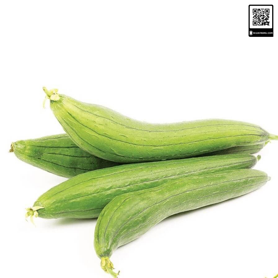 [Bán sỉ] - Hạt giống Mướp hương Thái Lan
