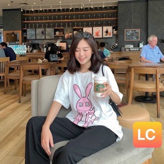 Áo phông thỏ 3 màu